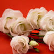 akagwu1000